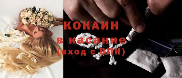 PSILOCYBIN Заволжье