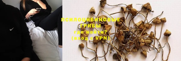 мдпв Елабуга
