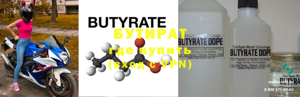 хмурый Ельня