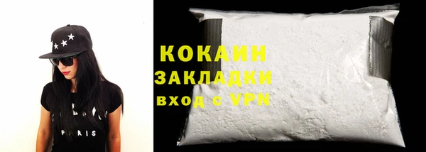 хмурый Ельня