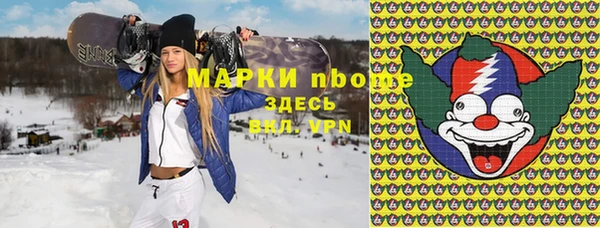 хмурый Ельня