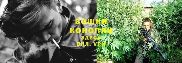хмурый Ельня