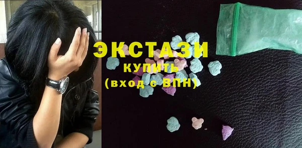 хмурый Ельня