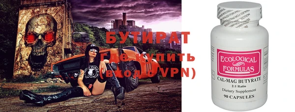 хмурый Ельня
