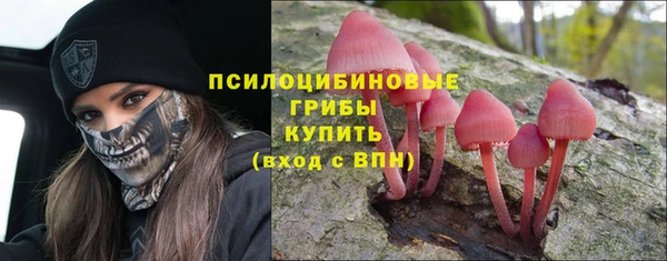 хмурый Ельня