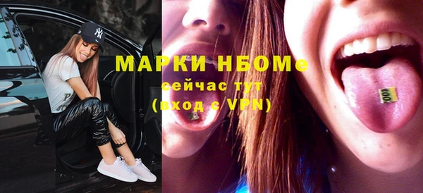 хмурый Ельня