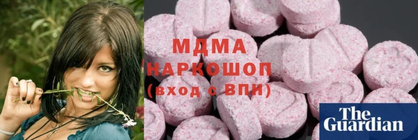 хмурый Ельня