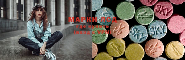 мдпв Елабуга