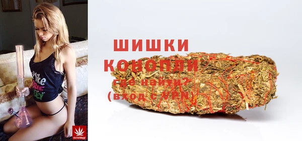 PSILOCYBIN Заволжье