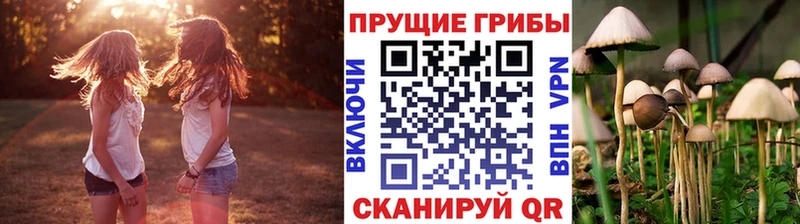 Псилоцибиновые грибы мицелий  Купить  Обнинск 
